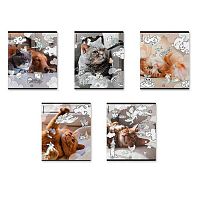 Тетрадь 48л. (клетка) EK пластик.обл. "Dream Cat" 54161 асс.