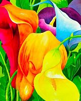 Картина со стразами Color KIT "Разноцветные каллы" СКС036