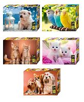 Пазлы   54 Степ Пазл "Домашние питомцы" 71055