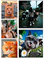 Тетрадь 48л. (клетка) Проф-Пресс "Коты-мемы" Т48-9122 цв.мел.обл.,асс.