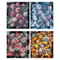 Тетрадь 48л. (клетка) BG "Frozen berry" 08804 мат.лам.,асс.