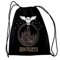 Сумка д/обуви CENTRUM 37*47см "Гарри Поттер" 75773 полиэстер,1отд.,210ден,петля д/подвеса