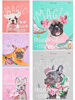 Тетрадь 12л. (кос.лин.) Проф-Пресс Profit "Французские бульдоги-1" Т12-3596 цв.мел.обл.,асс.