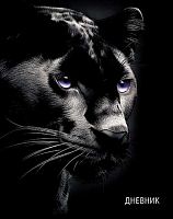 Дневник 1-11кл. АППЛИКА тв.обл. "Чёрная  пантера" С4072-149