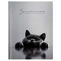 Записная книжка 120*150мм  80л. ФЕНИКС "Британский кот" 74404 тв.обл.,клетка,алф.вырубка