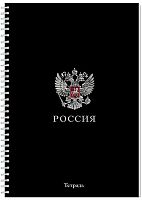 Тетрадь 96л. (клетка) А4 АППЛИКА спираль "Россия" С0268-17 обл.мел.карт.