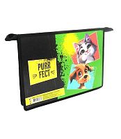 Папка д/тетрадей А4 ПЧЕЛКА ПМ-А4-29 "Purrfect" пластик,на молн.,дизайн