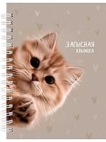 Записная книжка А6  80л. Проф-Пресс спираль "Забавный котик-3" 80-9512 цв.мел.обл.,клетка