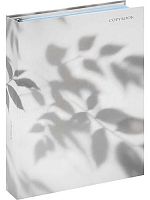 Тетрадь на кольцах 120л. (клетка) А4 Проф-Пресс "Нежные ромашки" Т120-9172