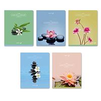 Тетрадь 48л. (клетка) SVETOCH "Релакс" Т195 (01494) выб.лак