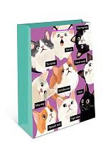 Пакет подар. Арт Дизайн 26*32*12см 0193.700