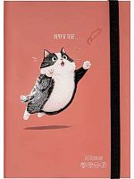 Скетчбук А5  80л. Проф-Пресс тв.обл. "Милый пушистый кот" 80-9623 мат.лам.,80г/м2,резинка