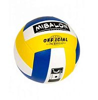 Мяч волейбольный Dream Makers FG230612013L