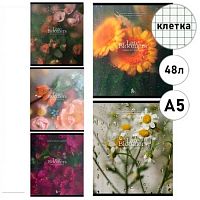 Тетрадь 48л. (клетка) ПЗБФ Премиум "Под стеклом" 021450 мат.лам.,брайль,асс.