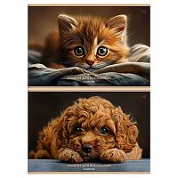 Альбом для рис.20л. BG "Дружок" 08592 асс.