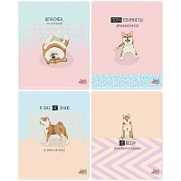 Тетрадь 48л. (линейка) BG "Пора поумнеть" 10013 мат.лам.