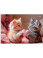 Альбом для рис.32л. Проф-Пресс спираль "Пара милых котят" 32-7873 мел.обл.