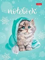 Записная книжка А6  64л. ХАТ тв.обл. "Милый котик" 29775 мат.лам.,клетка/линейка