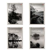 Блокнот А5  40л. АЛЬТ "Природа" 3-40-499 клетка,на скобе,асс.