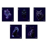 Тетрадь 48л. (клетка) EK "Indigo" 64867 выб.уф-лак,лам.софт-тач,асс.