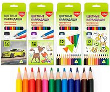 Карандаши пластик. 12цв. INTELLIGENT "Ассорти" CZ-9305 трёхгр.корп.,заточ.,к/к