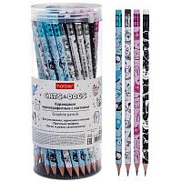 Карандаш ч/гр. с ласт. ХАТ "Cats&Dogs" 093380 НВ,кругл.корп.,заточ.,пластик.туба