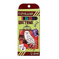Карандаши пластик. 12цв. CENTRUM "Школа Магии" 77209 трёхгр.корп.,177мм,к/к,е/подвес
