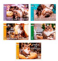 Альбом для рис.24л. ХАТ спираль "Кот Борис" перф.на отрыв,асс.