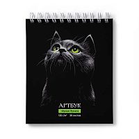 Артбук 175*200мм  30л. SVETOCH спираль "Нуар" А307 (01942) блок чёрный,120г/м2