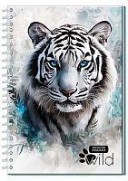 Записная книжка А5  96л. АППЛИКА спираль "Тигр" С0598-91 тв.обл.