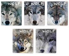 Тетрадь 48л. (клетка) АЛЬТ "Загадочные волки" 7-48-596 сплошн.уф-лак,асс.