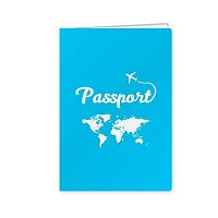 Обложка д/паспорта "Самолёт" 8233 ПВХ