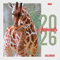 Календарь настенный 2026г. ХАТ Мини-Стандарт "Animals" 33723 мел.,12л.,21,6*21,6,на скобе