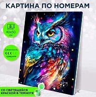 Картина по номерам со светящейся краской Котеин "Яркая сова" 30*40см MF0001 (24цв.)