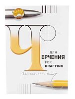 Папка для черчения А4 24л. ГОзнак обл. мел..бумага 5(3)С62 (300081)