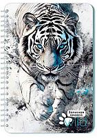 Записная книжка А5  40л. АППЛИКА спираль "Тигр" С0859-90 клетка