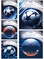 Тетрадь 12л. (линейка) Проф-Пресс "Разные мячи-3" Т12-4876 цв.мел.обл.,асс.