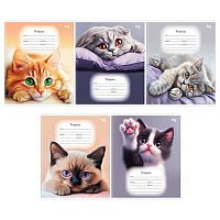 Тетрадь 18л. (клетка) BG "Purple cats" 08945 асс.
