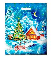 Пакет проб. 38*47 ПВД НГ Лунный свет лам. 60мкм