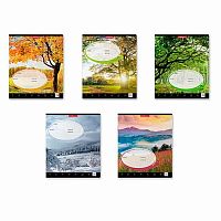 Тетрадь 24л. (клетка) EK "Родные просторы" 49229 асс.