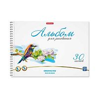 Альбом для рис.30л. EK спираль "Birds" 58579 микроперф.