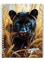 Тетрадь 48л. (клетка) АППЛИКА спираль "Чёрная пантера" С0245-137 блёстки