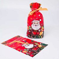 Пакет подар. Микрос 15*23см НГ "Дед Мороз на красном" ч56372 с лентой