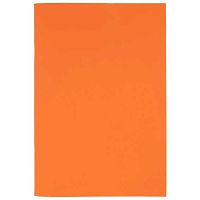 Тетрадь 48л. (клетка) ХАТ А4 "SoloMatte-Шафран" лам.soft-touch Тетрадь 48л. (клетка) ХАТ А4 "SoloMatte-Шафран" лам.soft-touch