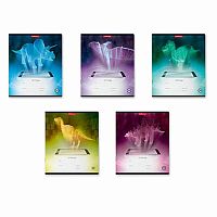 Тетрадь 24л. (клетка) EK "Digital Dino" 49227