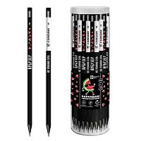 Карандаш ч/гр. ФЕНИКС "Герои с характером" 70092 HB,трёхгр.,чёрное.дерев.,асс.,пэт-тубус