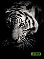 Ежедневник н/д А6  48л. АППЛИКА "Тигр" С1365-94 обл.мел.карт.