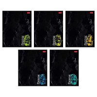 Тетрадь 48л. (клетка) ХАТ "Гранж" мел.бум.,асс.