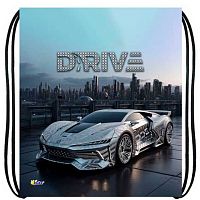 Сумка д/обуви ОНИКС 41*49см МО-27-1 "Silver auto" (87983) 1отд.