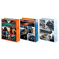 Пакет подар. Микрос 33*45см Мужской Ч55859 лам.матовый микс